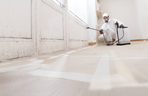 24/7 Emergency Black Mold Remediation experts in Brentwood, MD